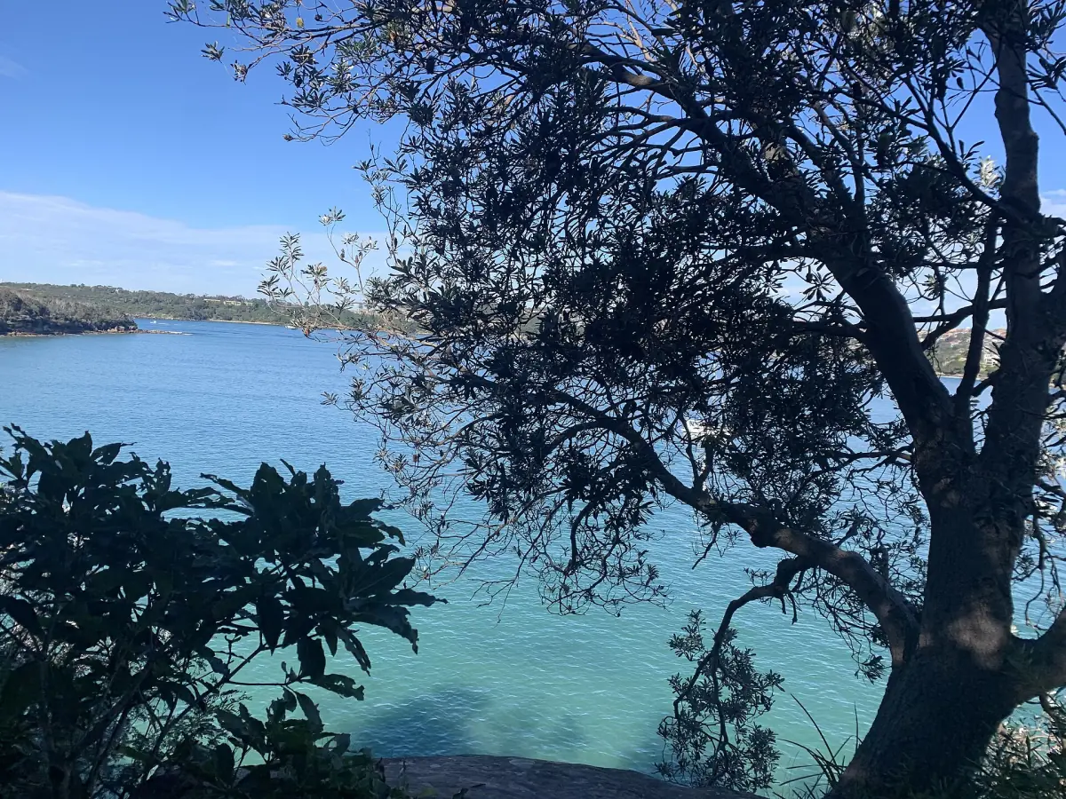 Clontarf Beach seen from the Spit to Manly walk