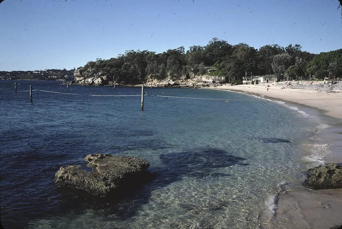 Shark Beach in Nielsen Park