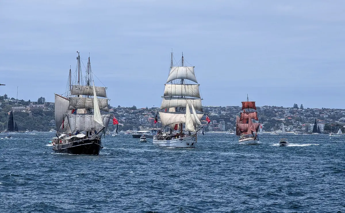 Tall ships sailing on Sydney Harbour